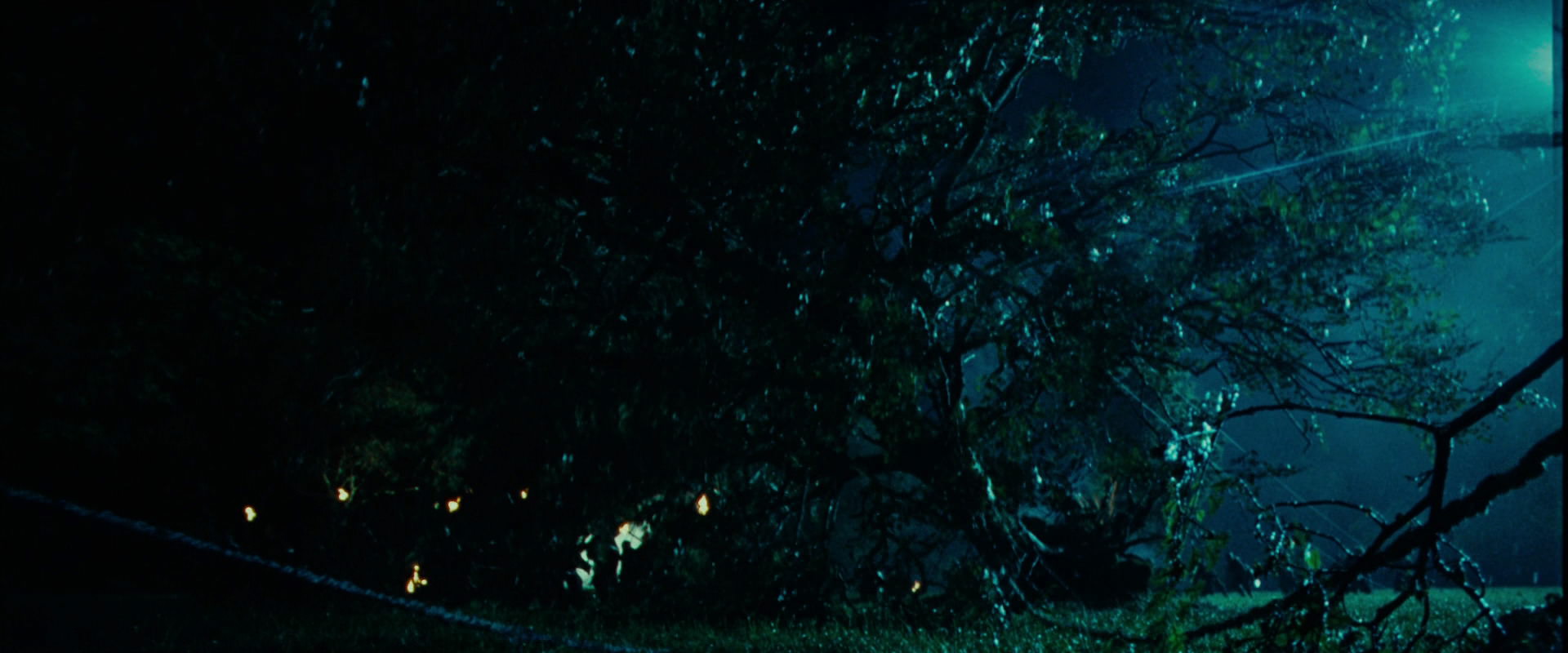 The Lord of the Rings: The Fellowship of the Ring (2001) movie still 8149