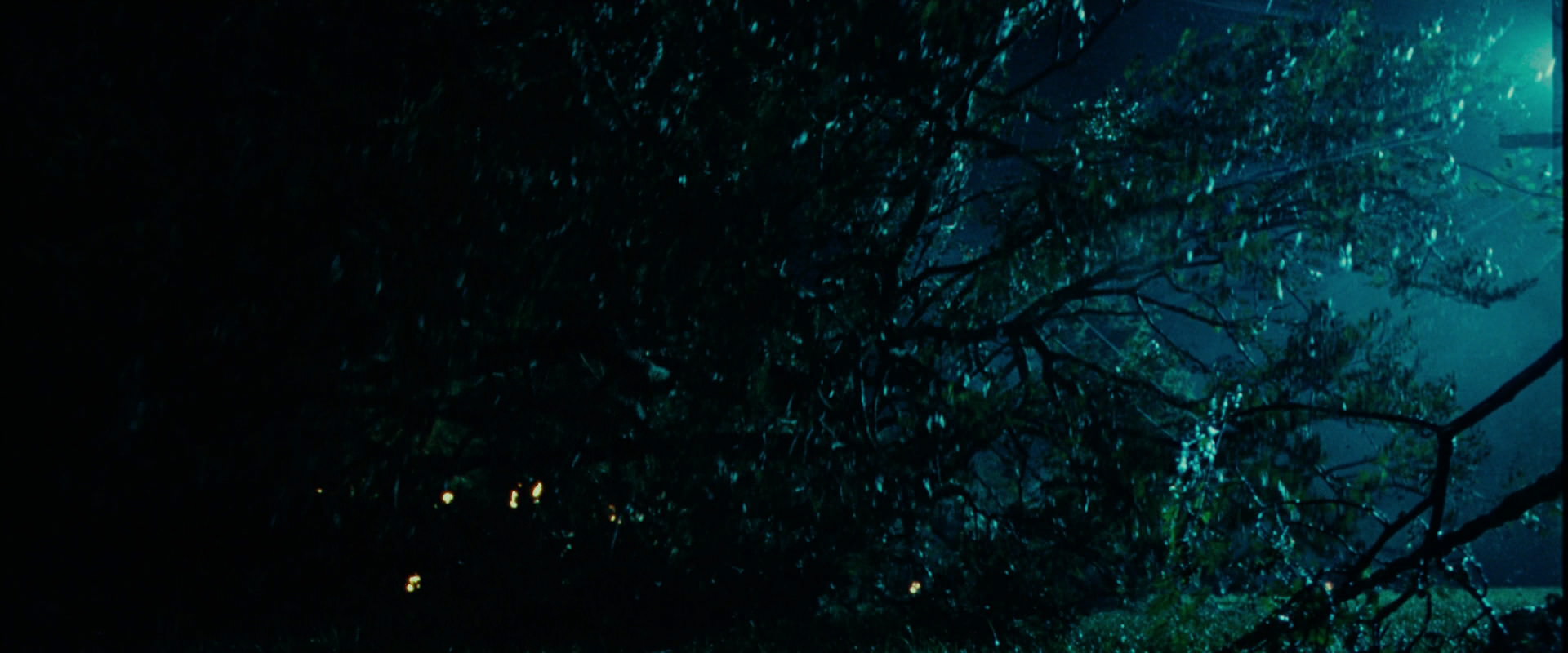 The Lord of the Rings: The Fellowship of the Ring (2001) HD screenshot 8150