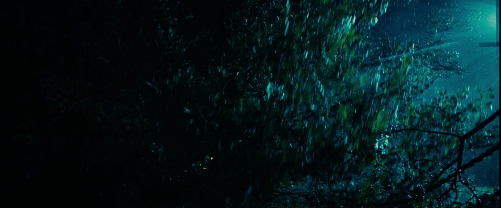 The Lord of the Rings: The Fellowship of the Ring (2001) screencap 8151