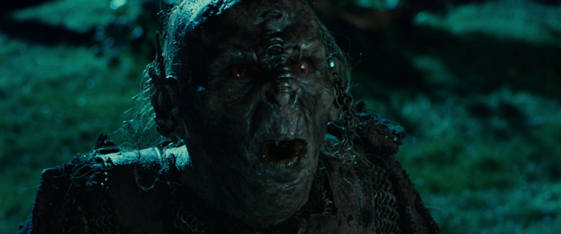 The Lord of the Rings: The Fellowship of the Ring (2001) screencap 8163