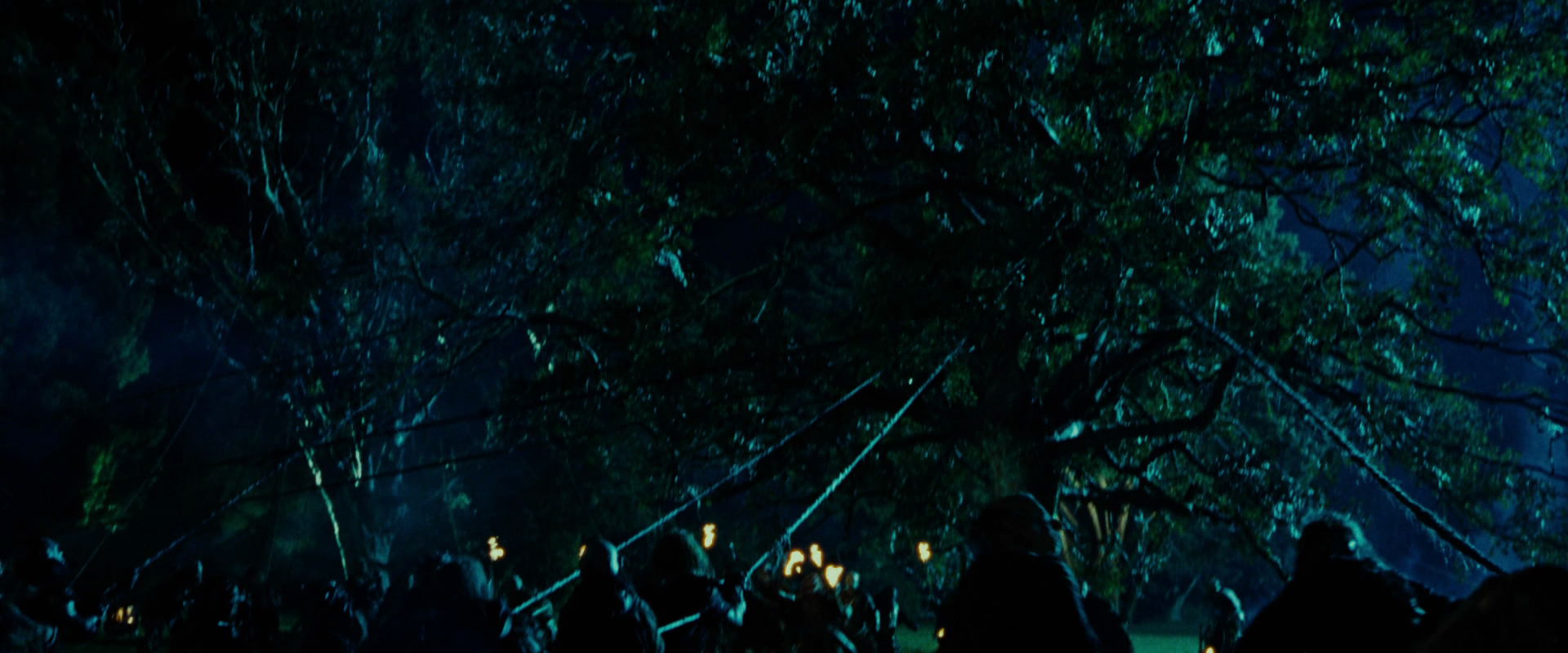 The Lord of the Rings: The Fellowship of the Ring (2001) HD screenshot 8168