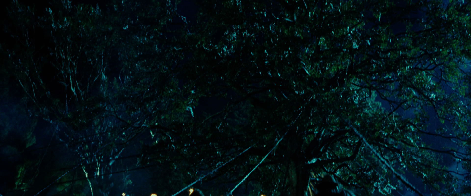 The Lord of the Rings: The Fellowship of the Ring (2001) screencap 8169