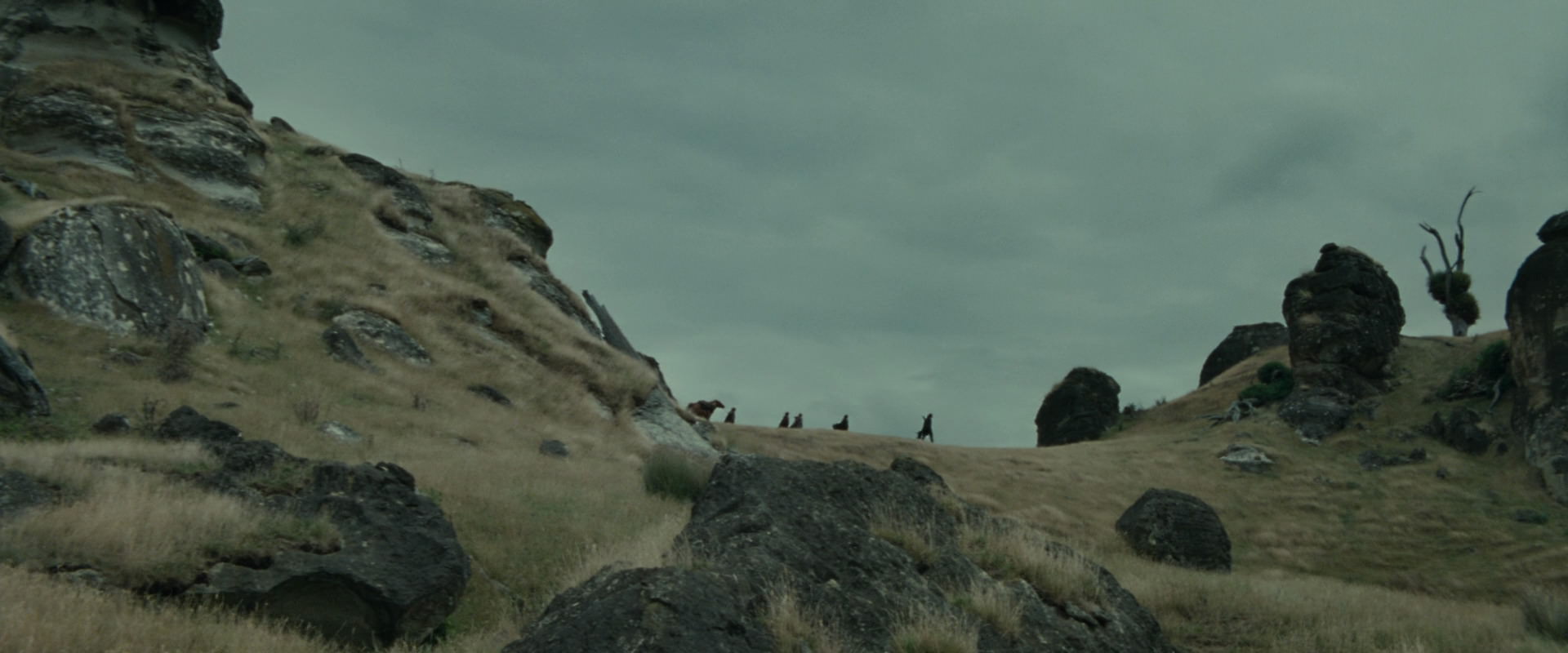 The Lord of the Rings: The Fellowship of the Ring (2001) HD screenshot 8219