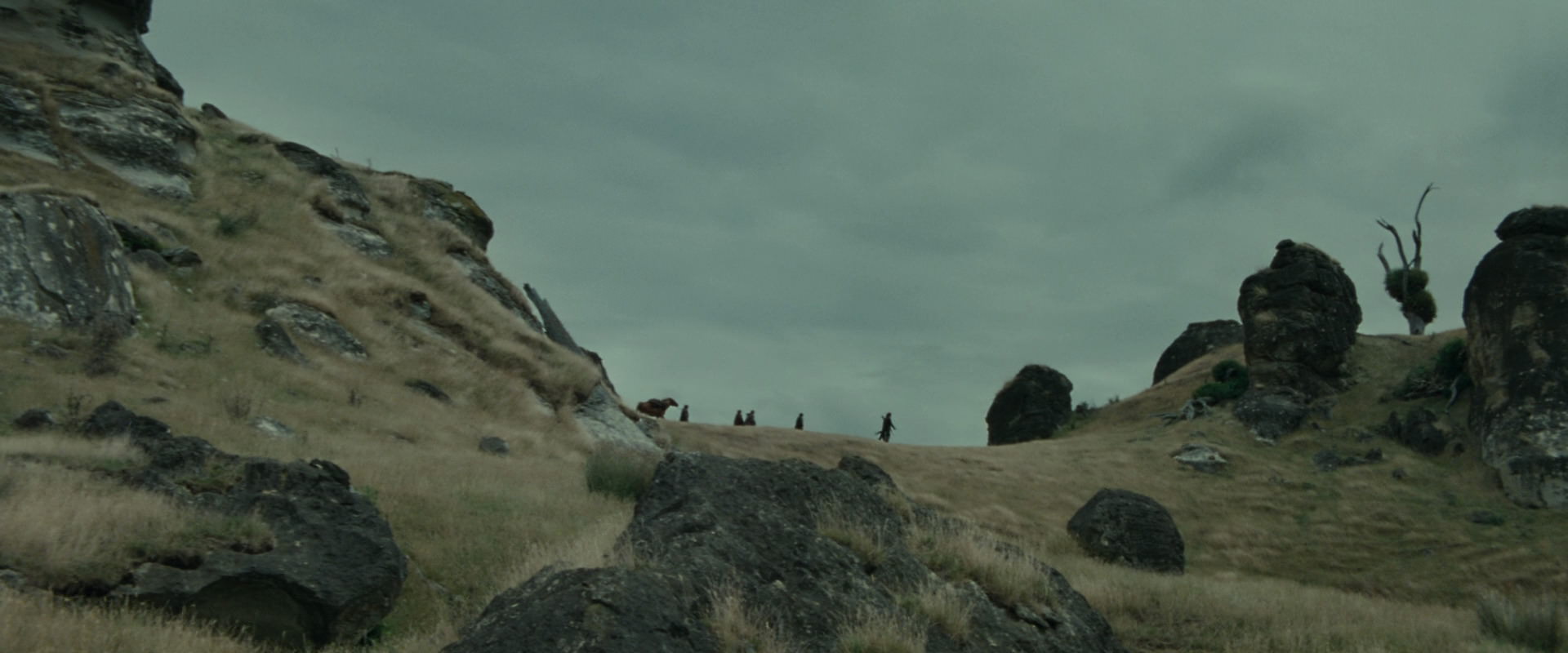 The Lord of the Rings: The Fellowship of the Ring (2001) screencap 8220