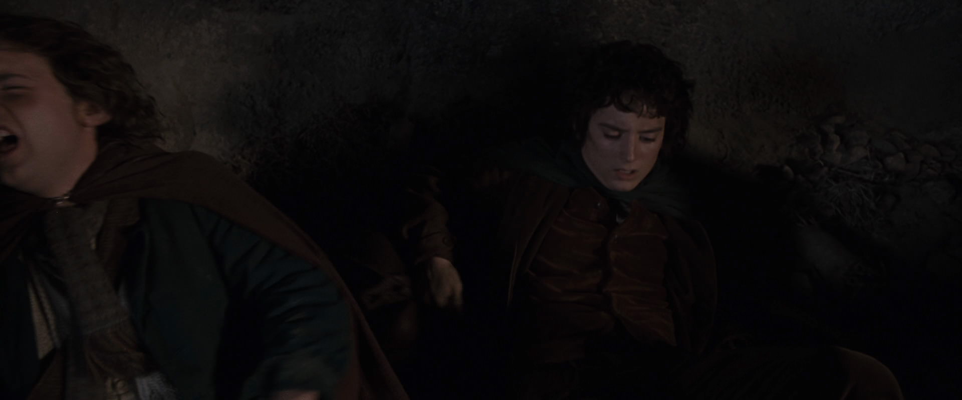 The Lord of the Rings: The Fellowship of the Ring (2001) screencap 8247