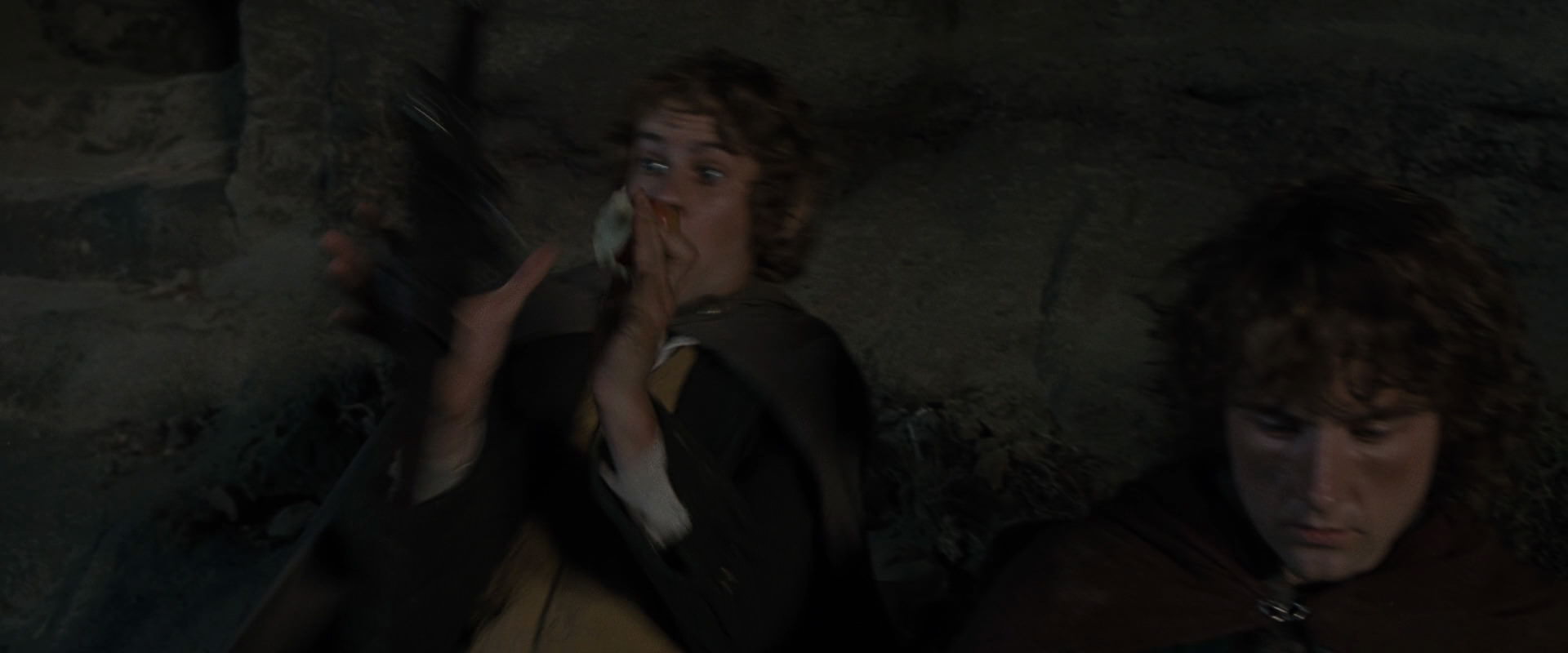 The Lord of the Rings: The Fellowship of the Ring (2001) screencap 8271