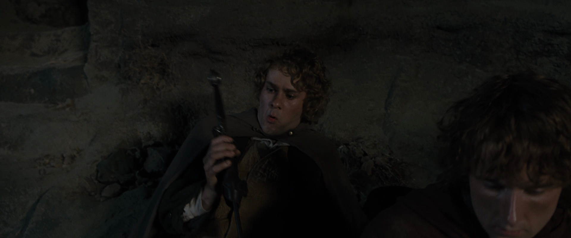 The Lord of the Rings: The Fellowship of the Ring (2001) movie still 8272