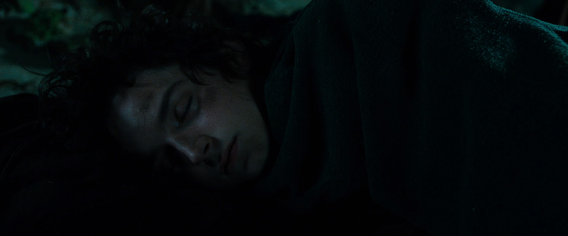 The Lord of the Rings: The Fellowship of the Ring (2001) screencap 8292