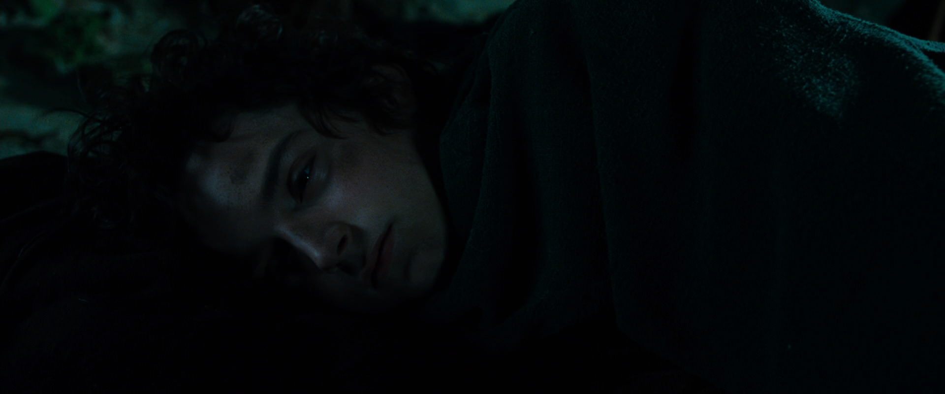The Lord of the Rings: The Fellowship of the Ring (2001) HD screenshot 8297