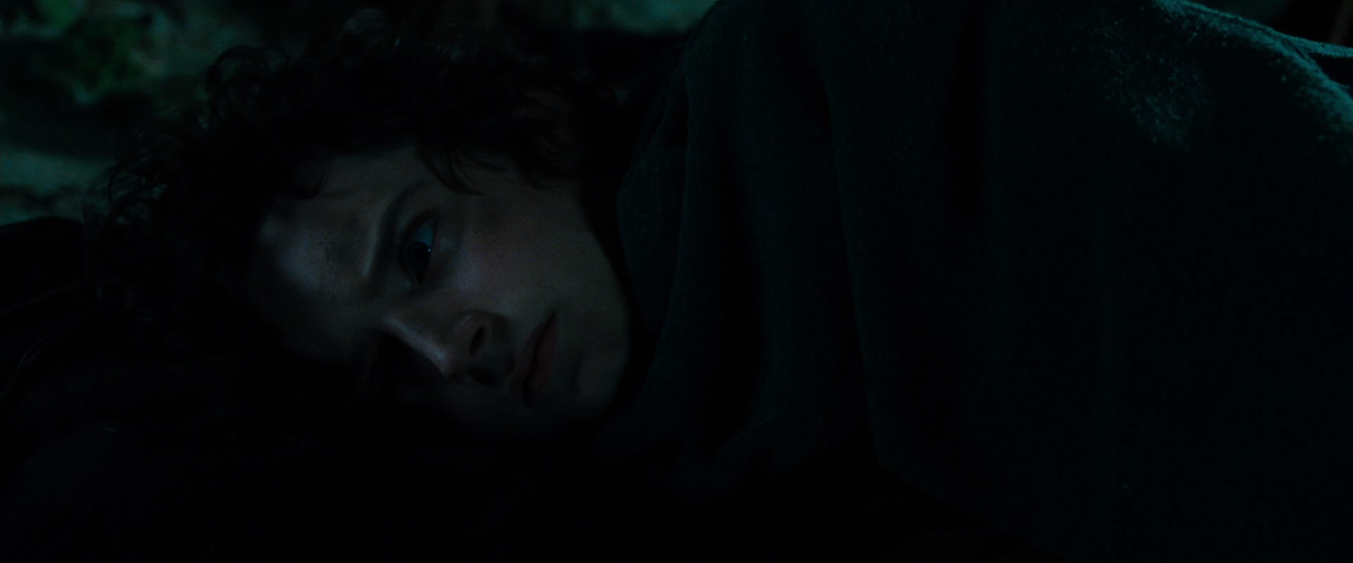 The Lord of the Rings: The Fellowship of the Ring (2001) movie still 8302