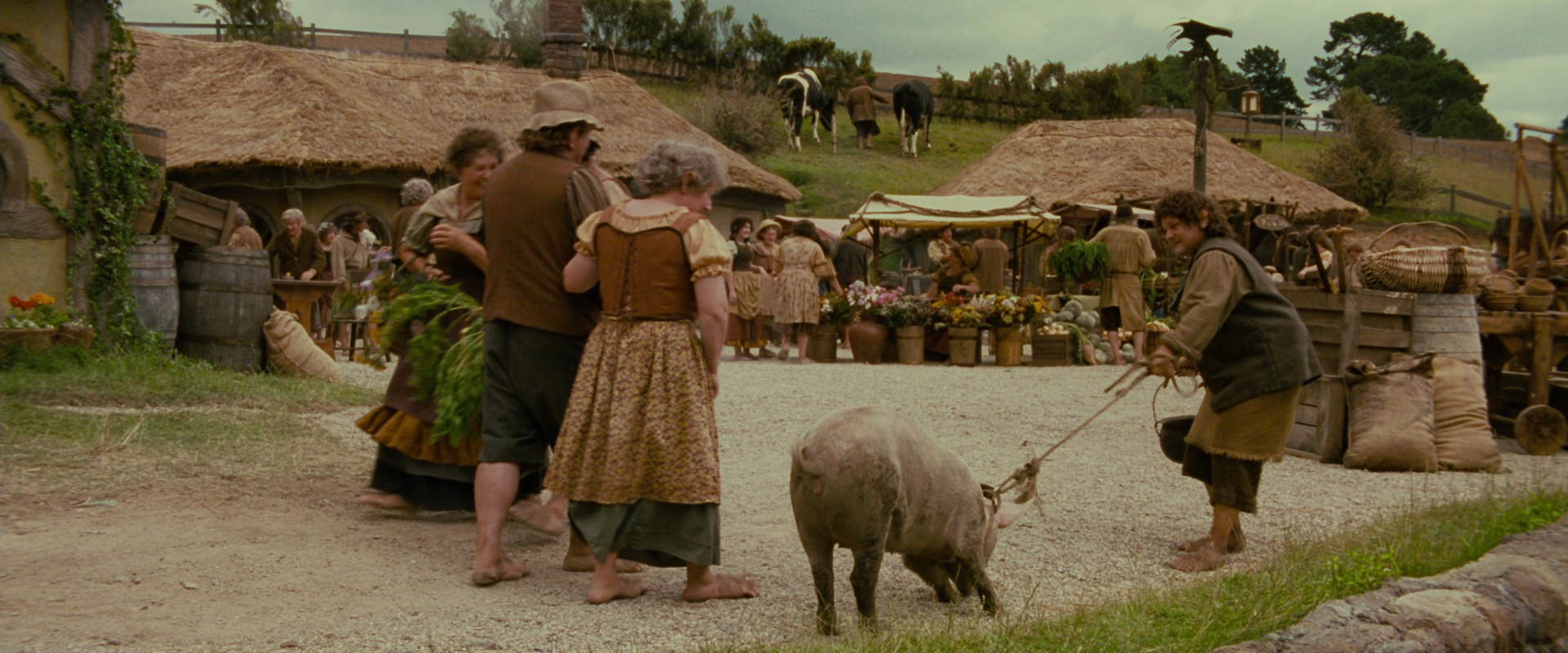 The Lord of the Rings: The Fellowship of the Ring (2001) screencap 831