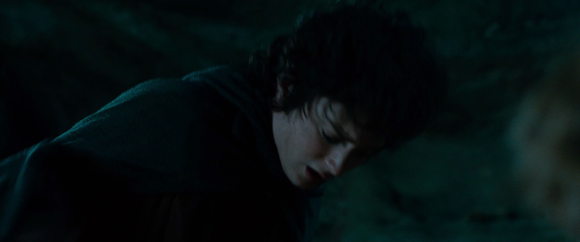 The Lord of the Rings: The Fellowship of the Ring (2001) screencap 8322