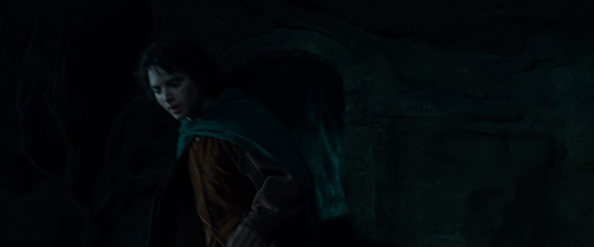 The Lord of the Rings: The Fellowship of the Ring (2001) screencap 8331