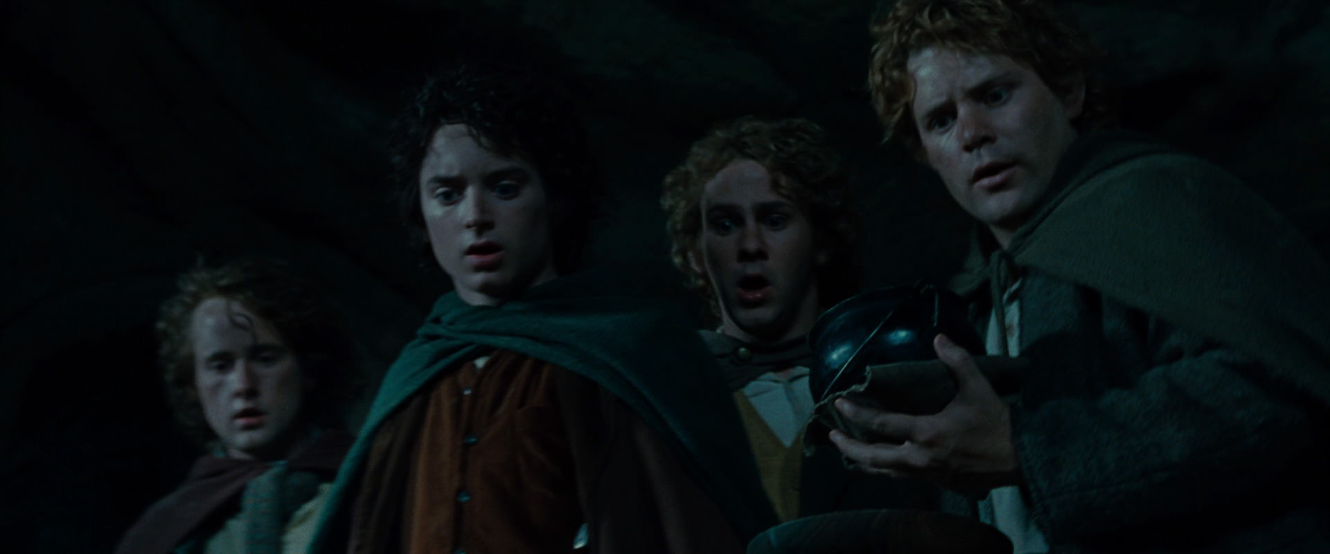 The Lord of the Rings: The Fellowship of the Ring (2001) HD screenshot 8336