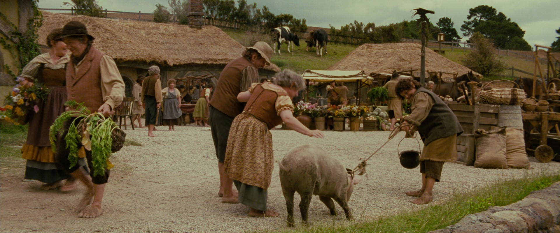 The Lord of the Rings: The Fellowship of the Ring (2001) screencap 834