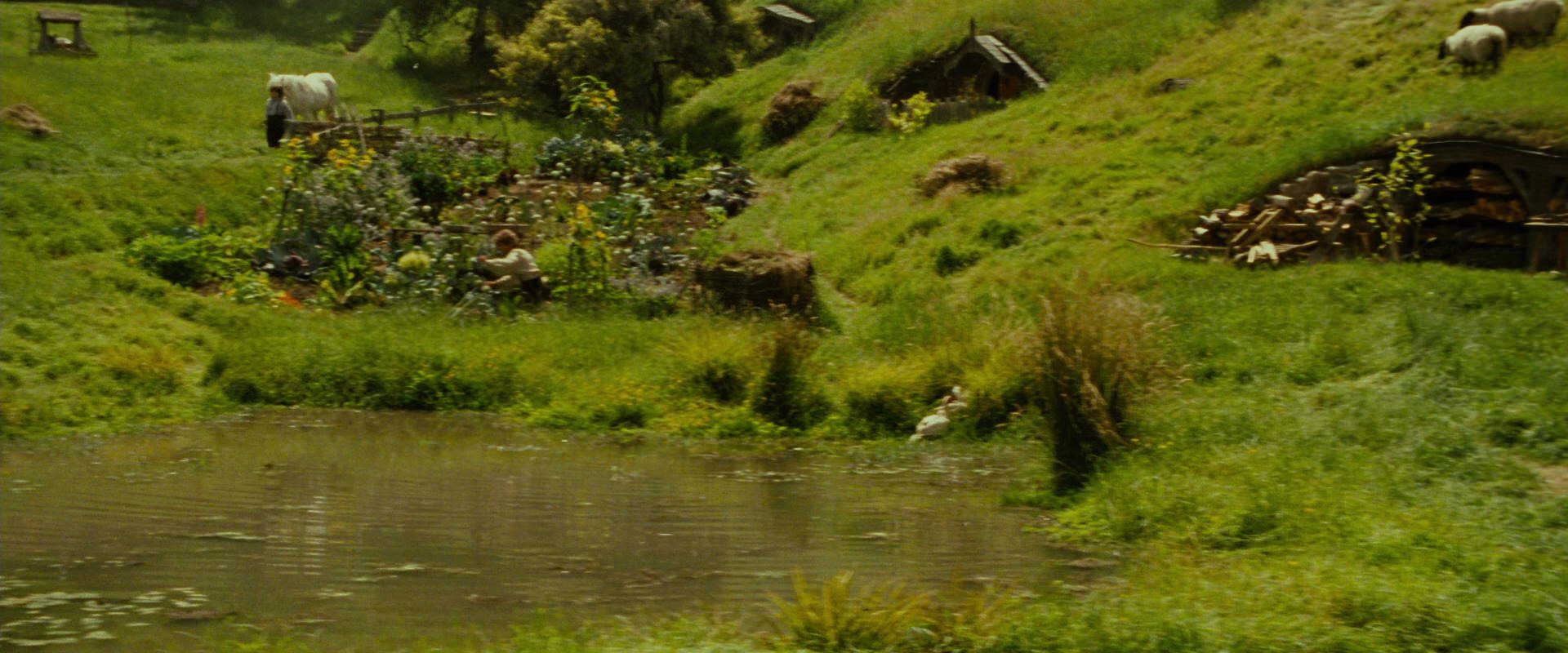 The Lord of the Rings: The Fellowship of the Ring (2001) movie still 835