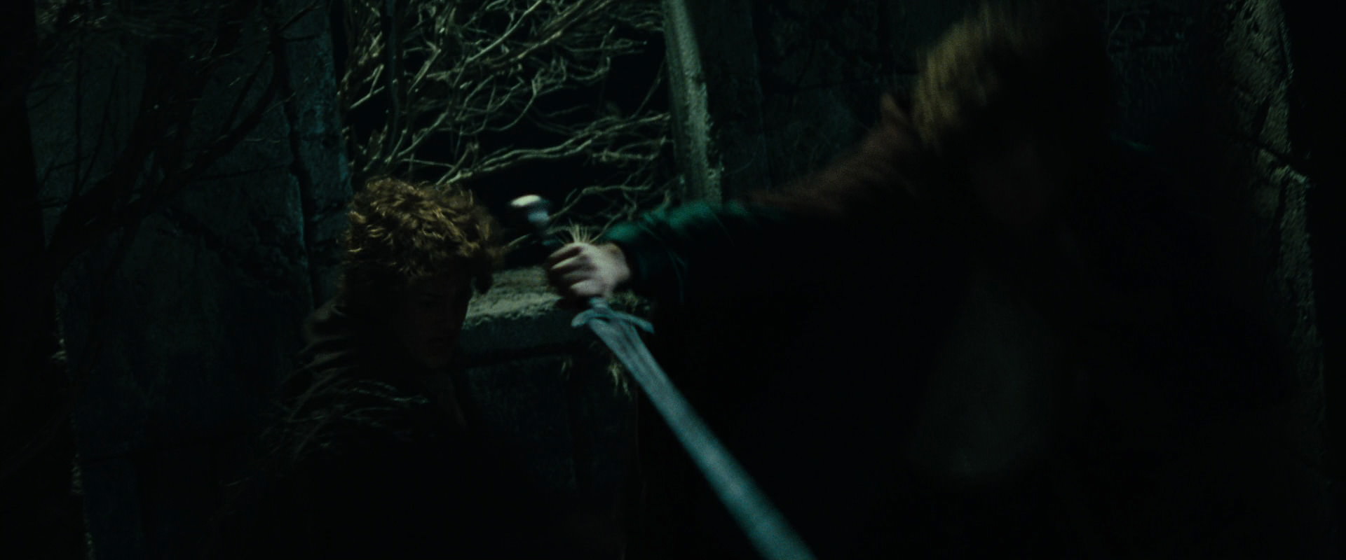 The Lord of the Rings: The Fellowship of the Ring (2001) screencap 8352