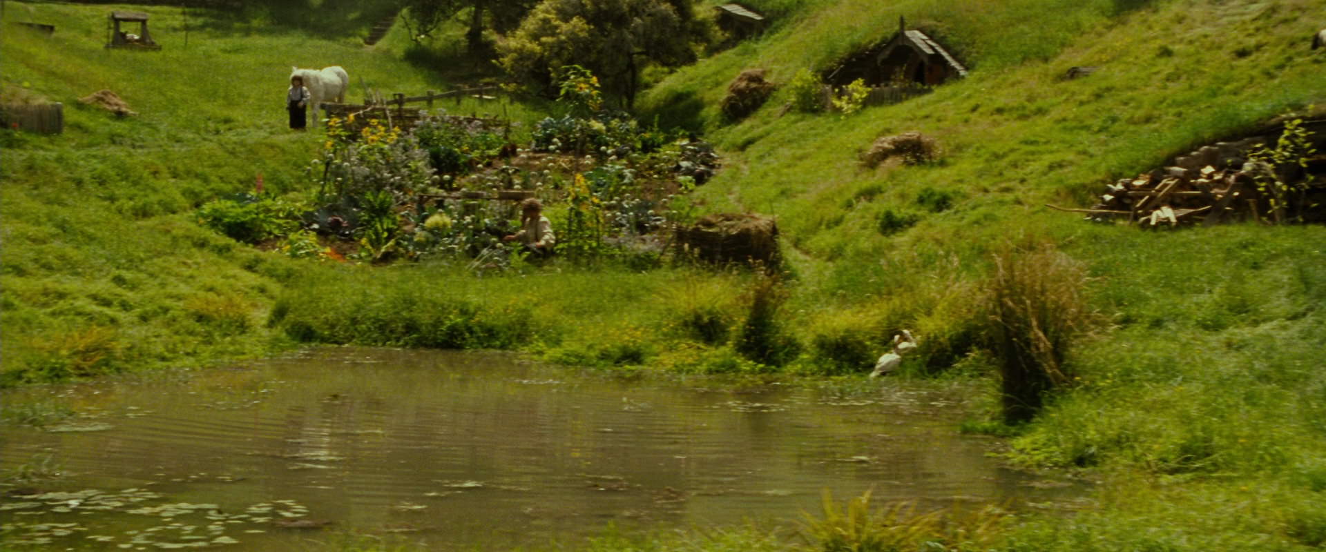The Lord of the Rings: The Fellowship of the Ring (2001) HD screenshot 836