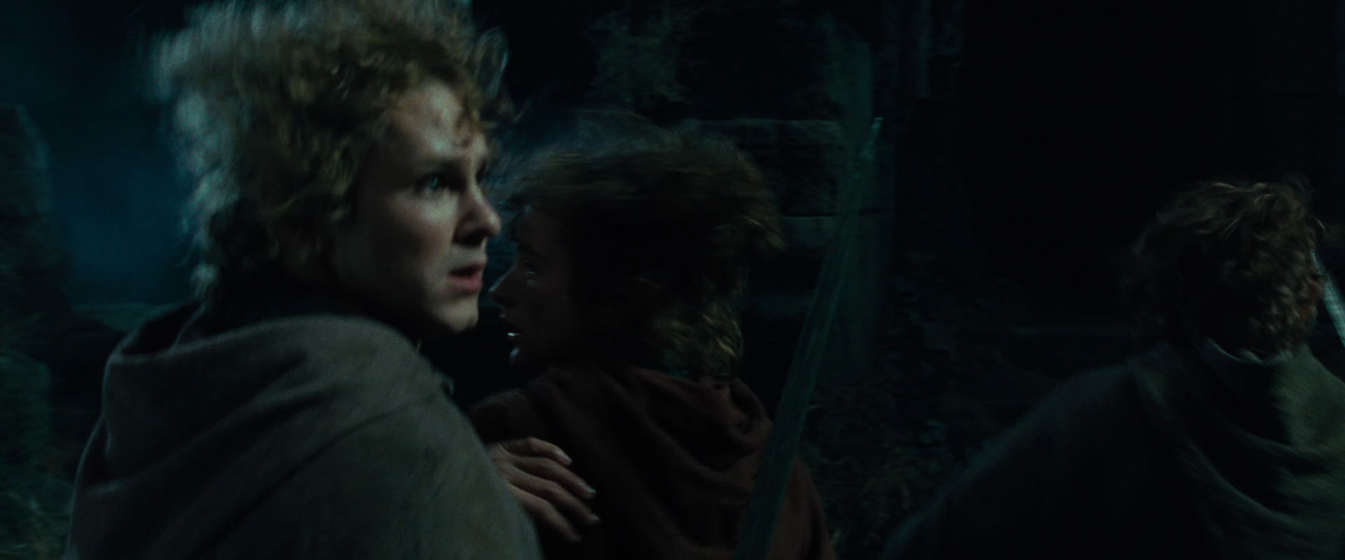 The Lord of the Rings: The Fellowship of the Ring (2001) movie still 8362