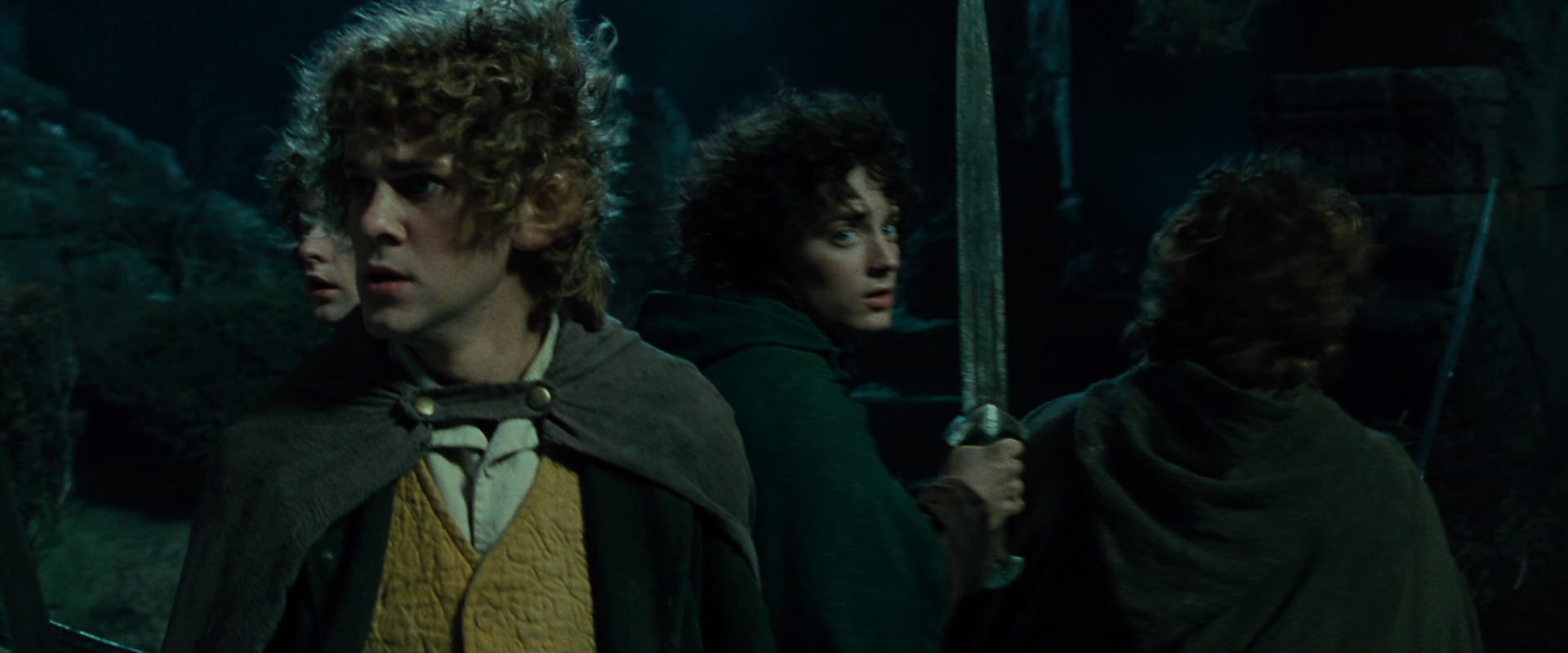 The Lord of the Rings: The Fellowship of the Ring (2001) movie still 8365