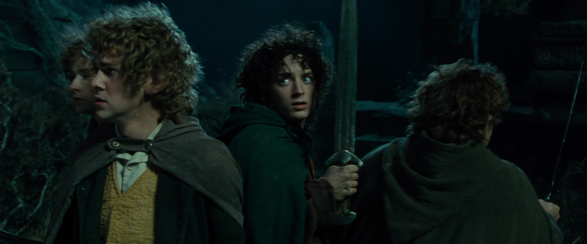 The Lord of the Rings: The Fellowship of the Ring (2001) HD screenshot 8366
