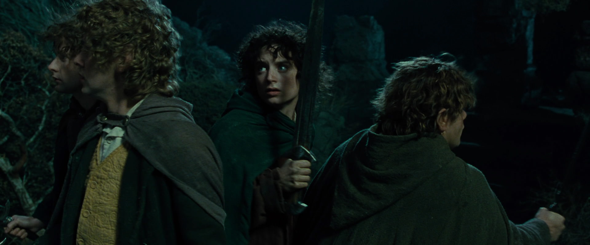 The Lord of the Rings: The Fellowship of the Ring (2001) screencap 8367