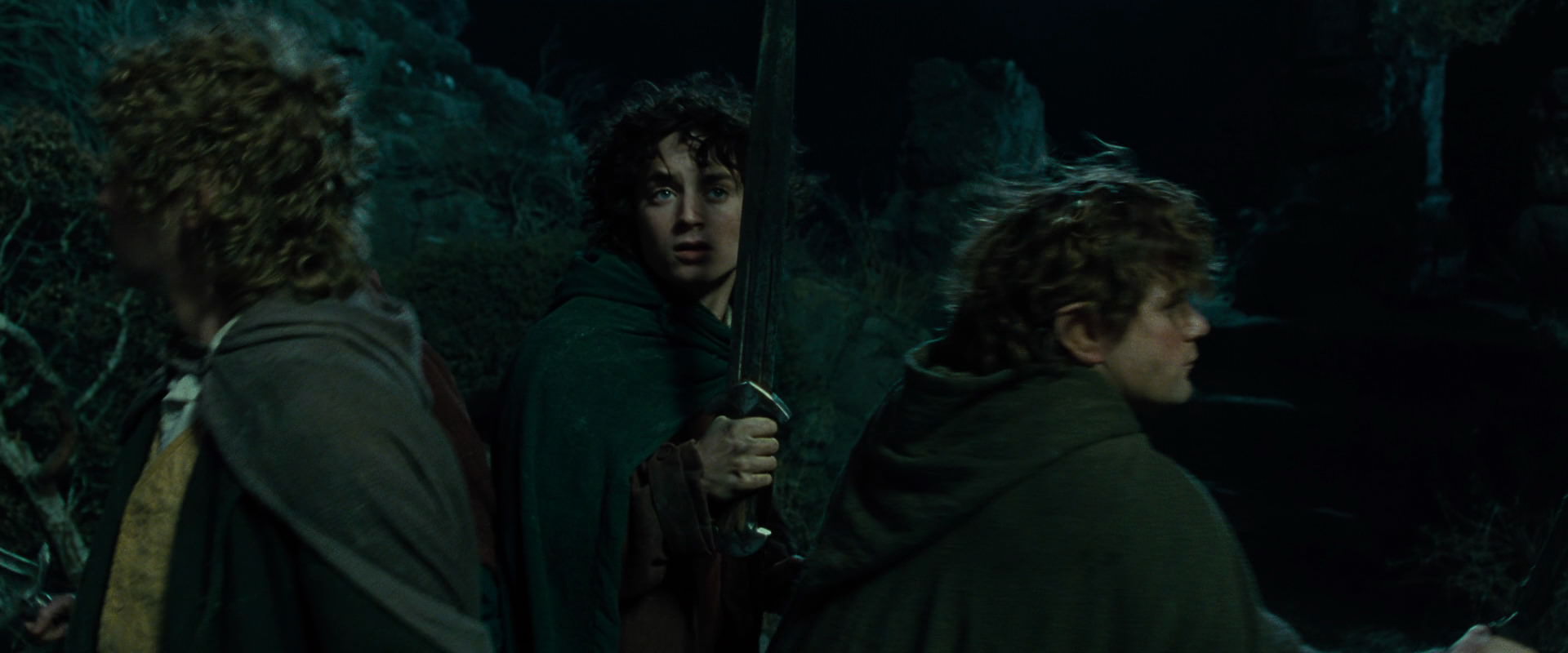 The Lord of the Rings: The Fellowship of the Ring (2001) movie still 8368