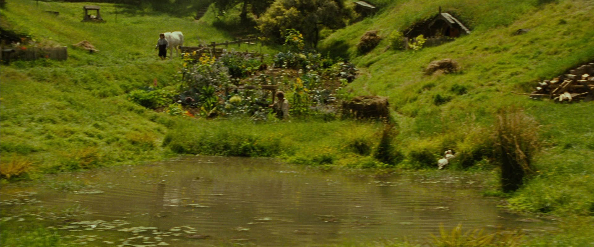 The Lord of the Rings: The Fellowship of the Ring (2001) screencap 837