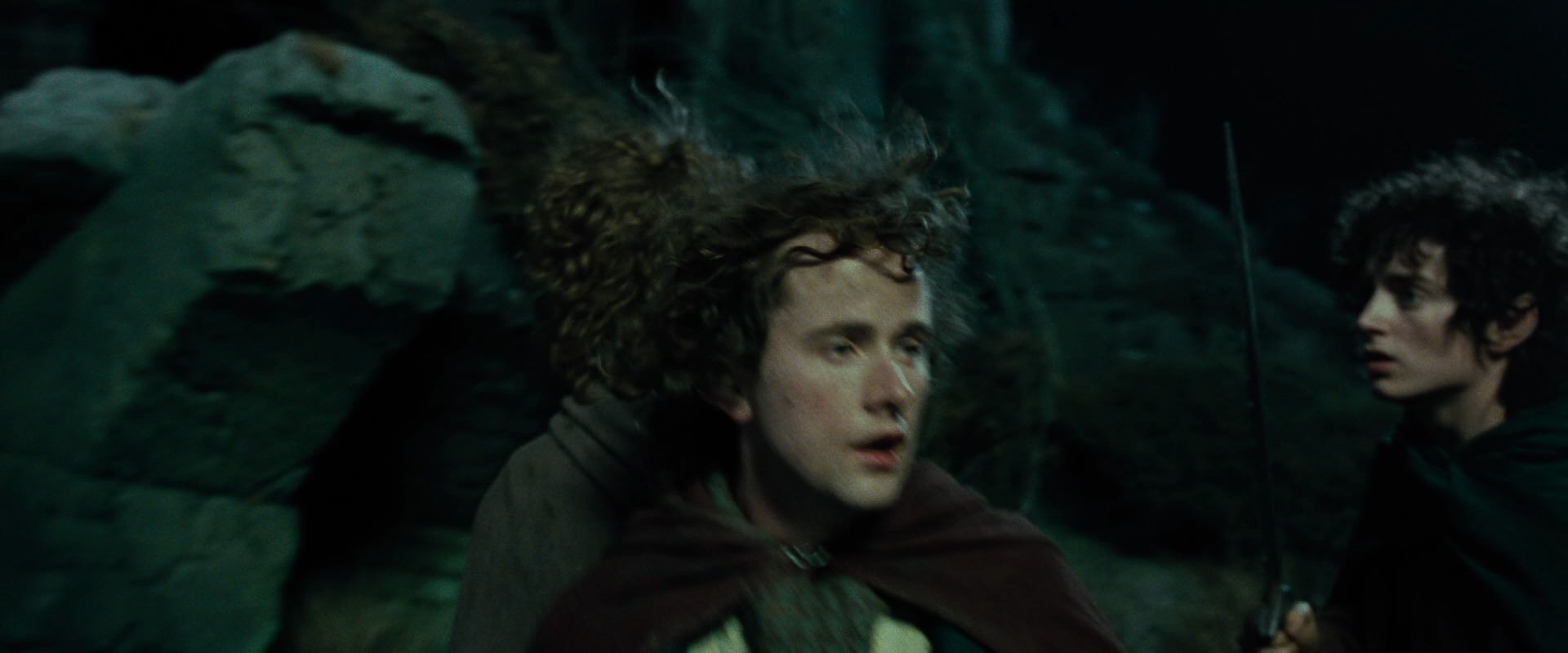 The Lord of the Rings: The Fellowship of the Ring (2001) screencap 8373
