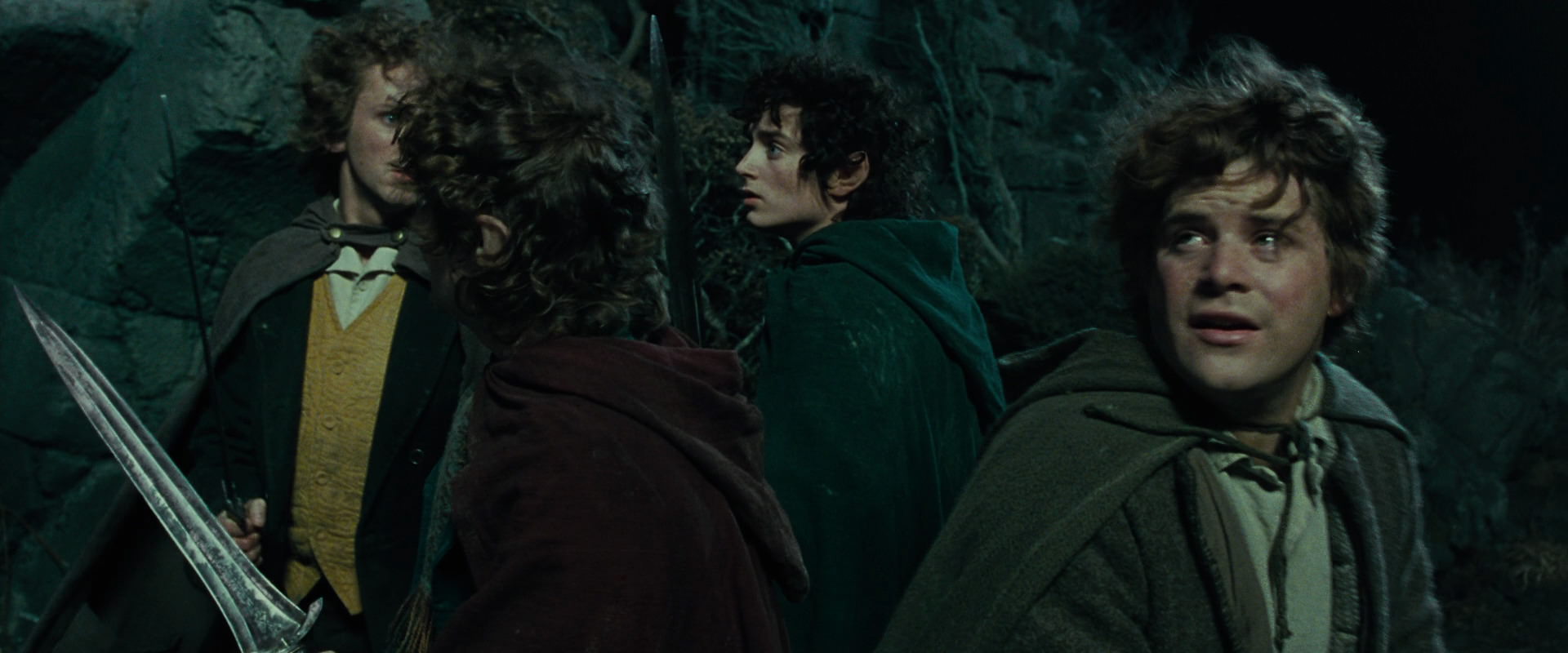 The Lord of the Rings: The Fellowship of the Ring (2001) screencap 8376