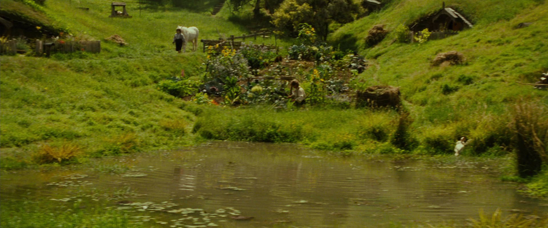 The Lord of the Rings: The Fellowship of the Ring (2001) movie still 838