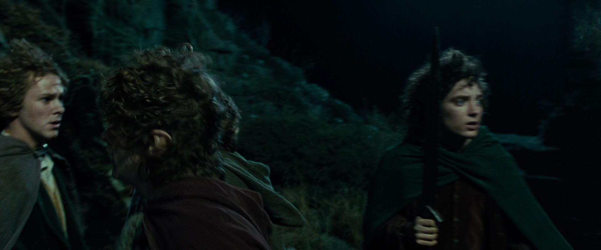 The Lord of the Rings: The Fellowship of the Ring (2001) screencap 8385
