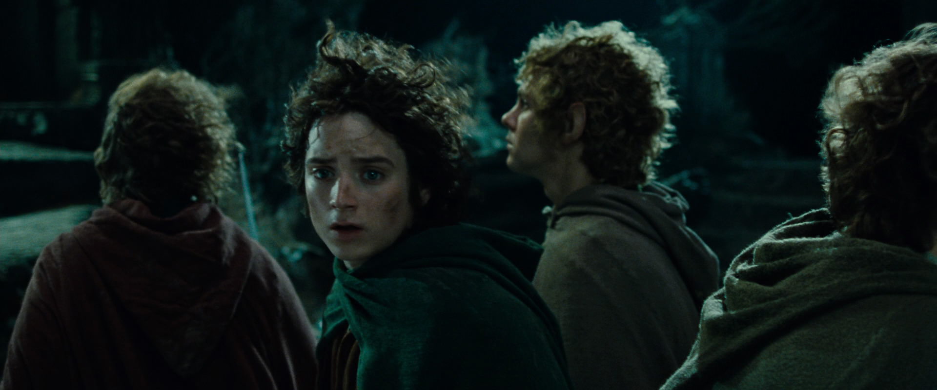 The Lord of the Rings: The Fellowship of the Ring (2001) movie still 8389