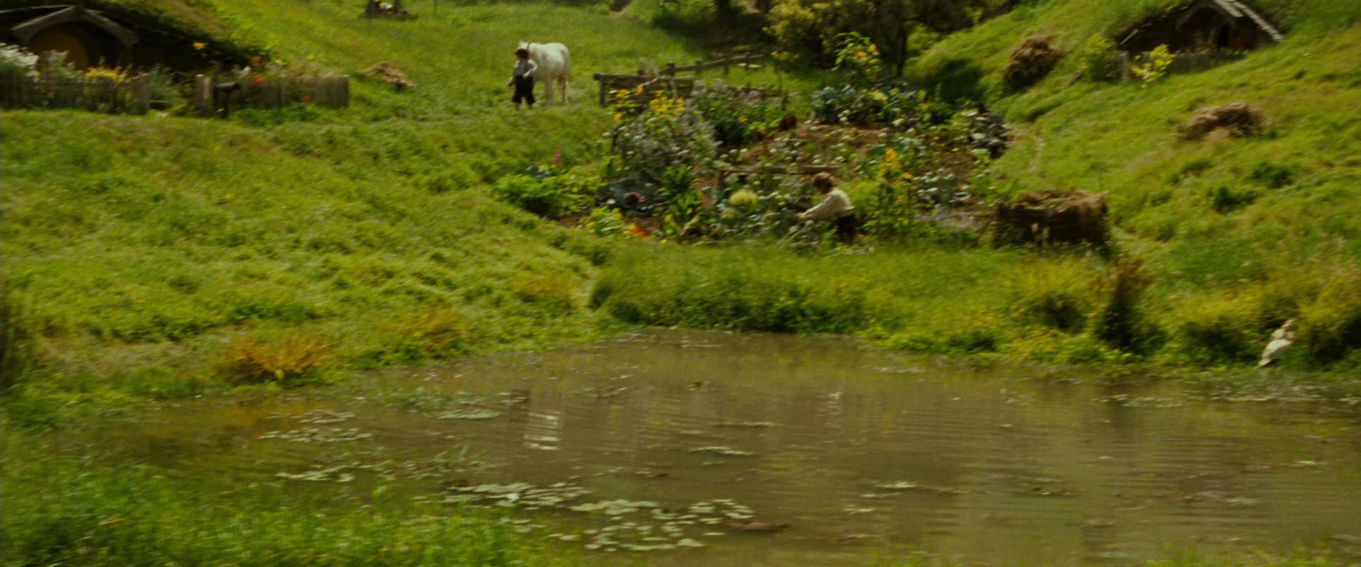 The Lord of the Rings: The Fellowship of the Ring (2001) HD screenshot 839