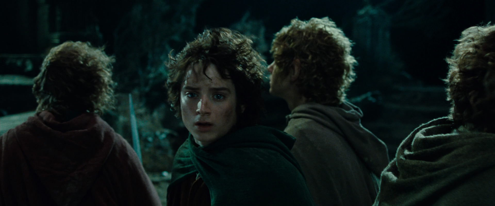 The Lord of the Rings: The Fellowship of the Ring (2001) HD screenshot 8390