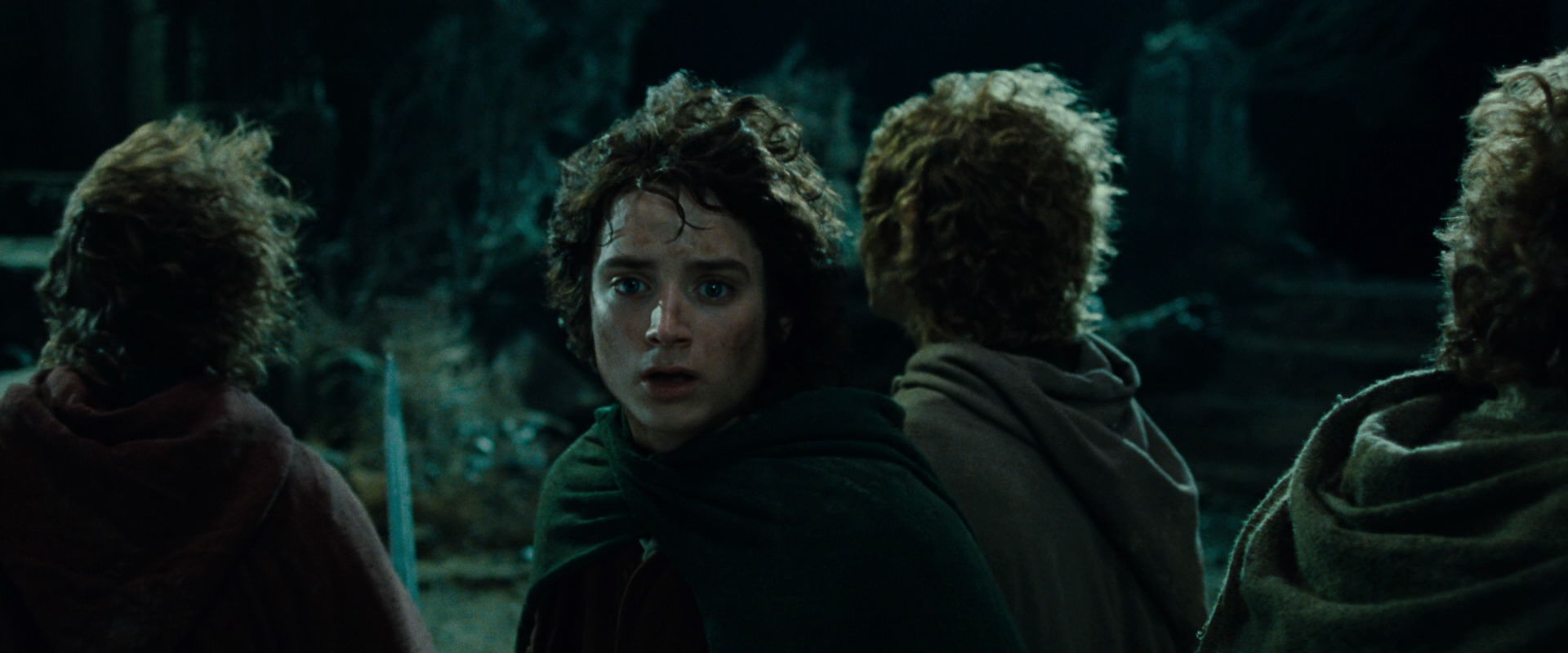 The Lord of the Rings: The Fellowship of the Ring (2001) screencap 8391
