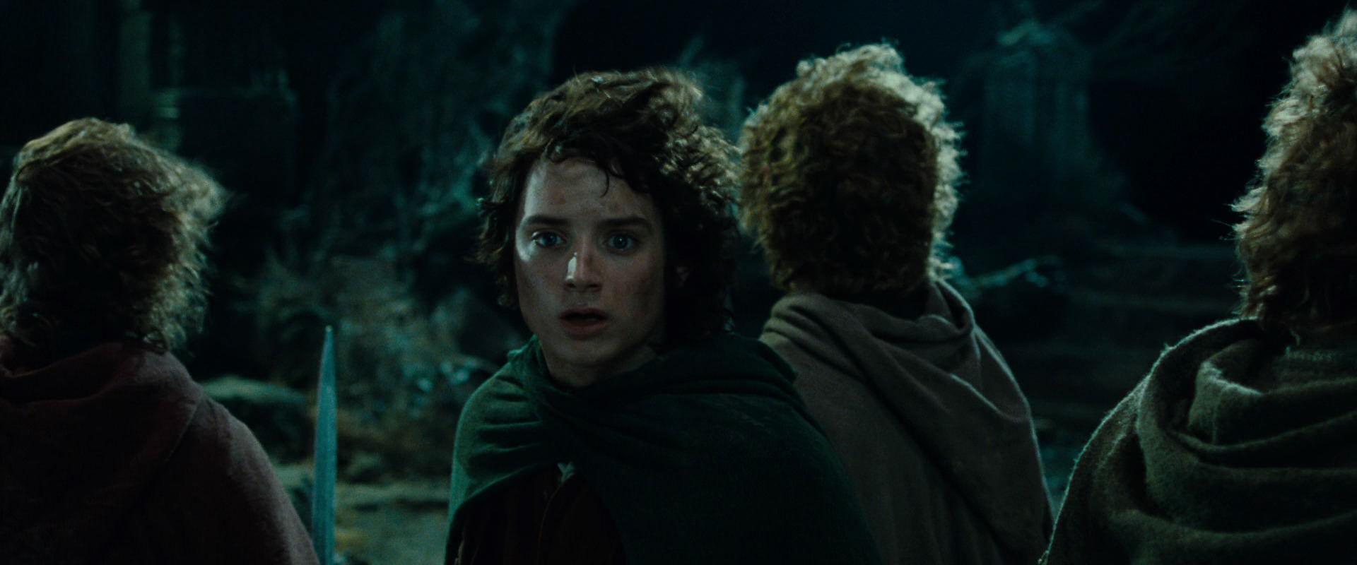 The Lord of the Rings: The Fellowship of the Ring (2001) movie still 8392
