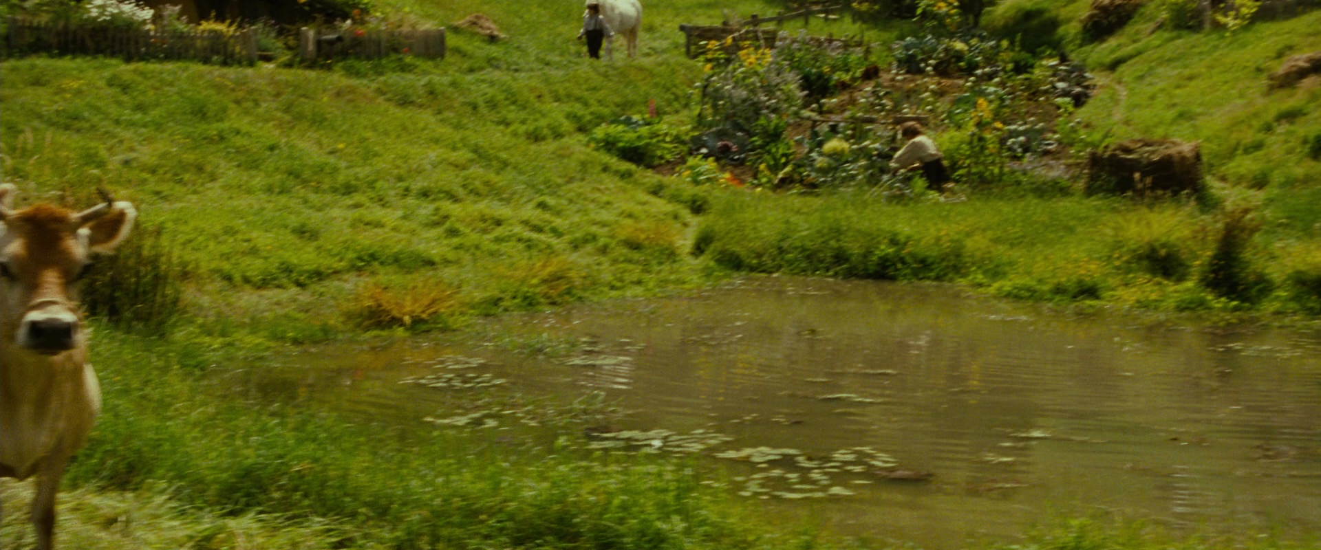 The Lord of the Rings: The Fellowship of the Ring (2001) screencap 840