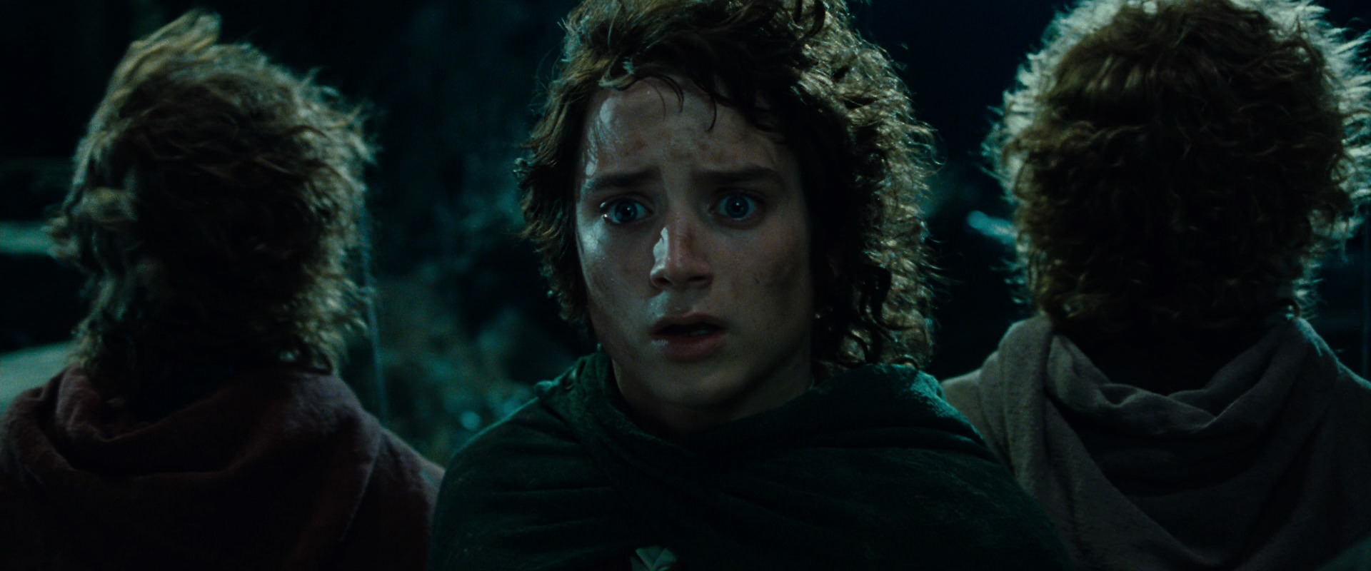 The Lord of the Rings: The Fellowship of the Ring (2001) movie still 8401