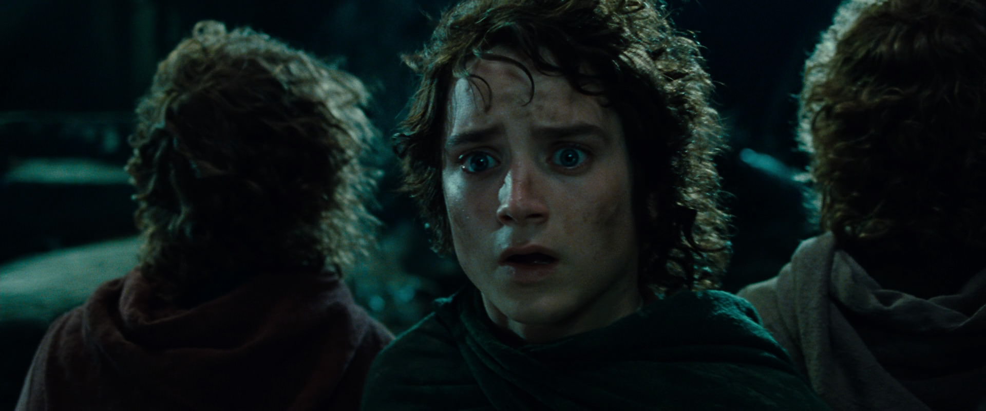 The Lord of the Rings: The Fellowship of the Ring (2001) screencap 8403