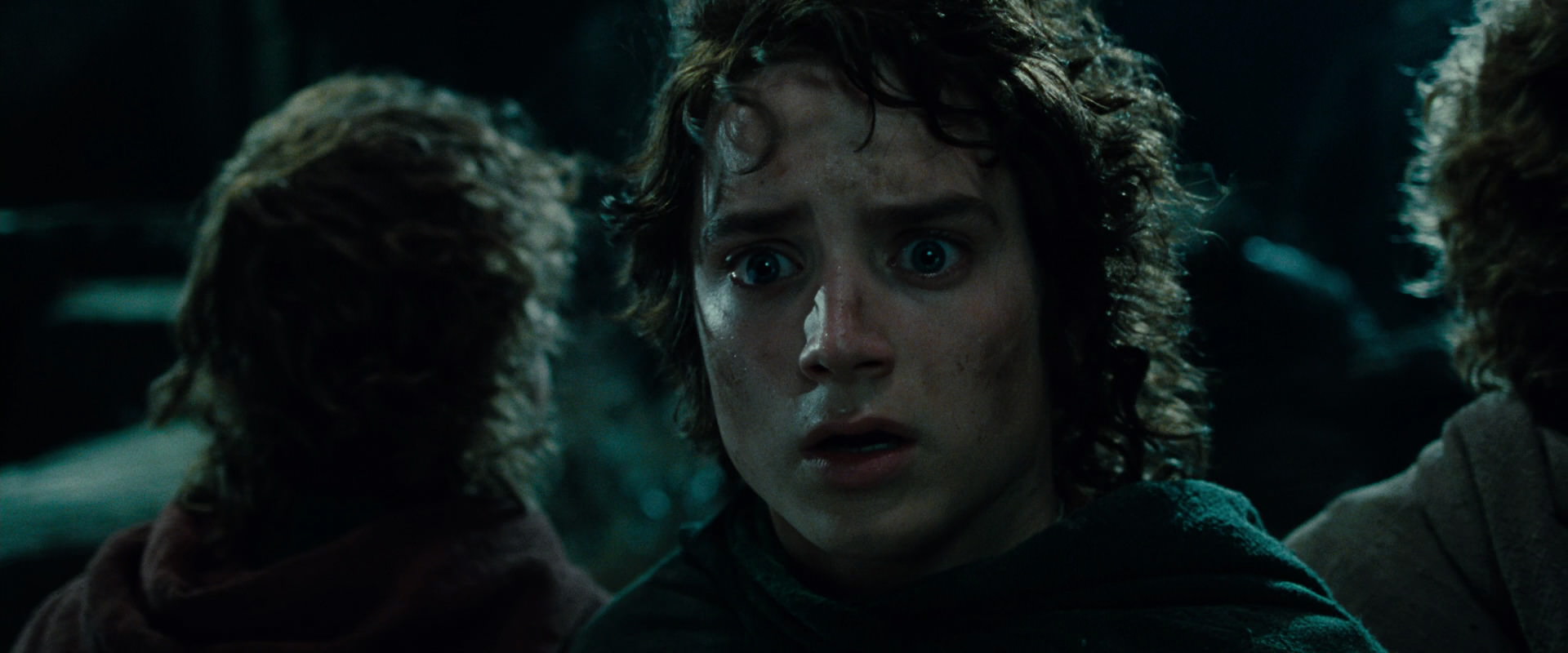 The Lord of the Rings: The Fellowship of the Ring (2001) movie still 8416