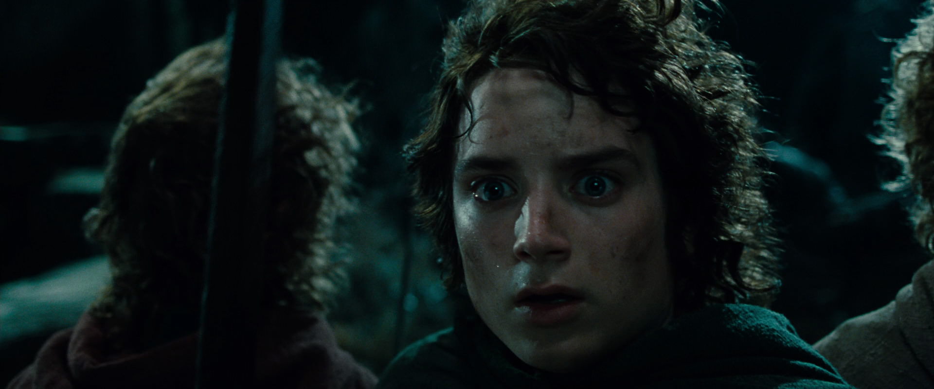 The Lord of the Rings: The Fellowship of the Ring (2001) screencap 8418