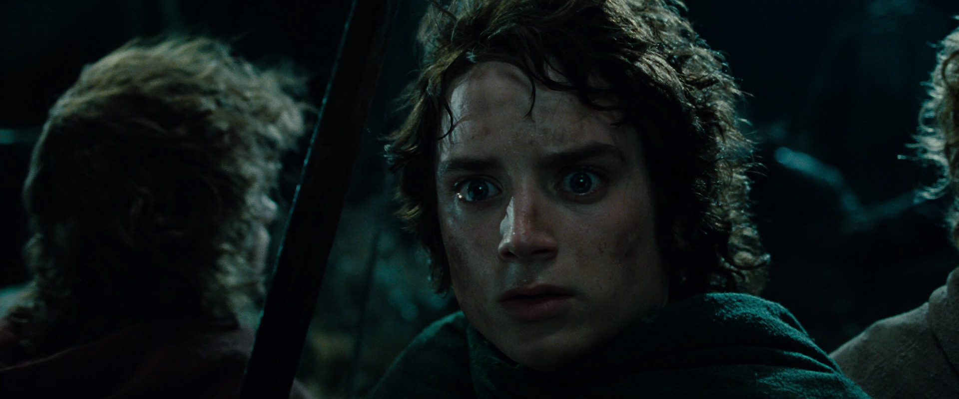 The Lord of the Rings: The Fellowship of the Ring (2001) movie still 8419