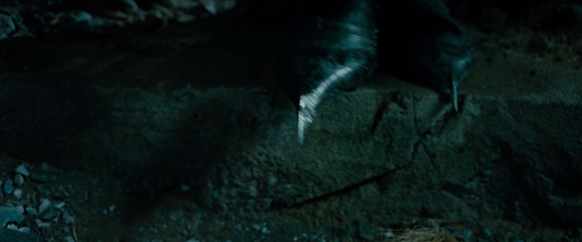 The Lord of the Rings: The Fellowship of the Ring (2001) HD screenshot 8423