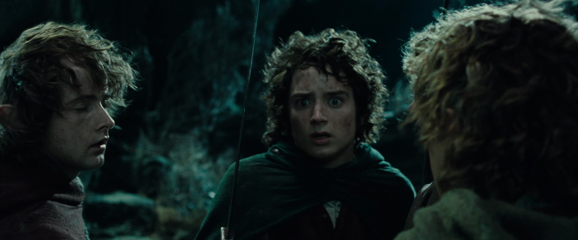 The Lord of the Rings: The Fellowship of the Ring (2001) screencap 8427
