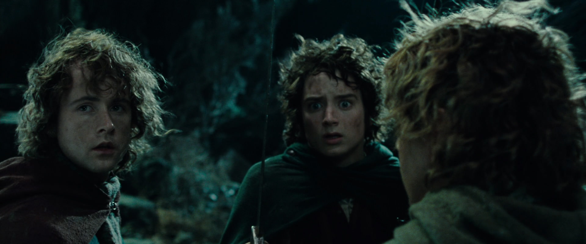 The Lord of the Rings: The Fellowship of the Ring (2001) movie still 8428