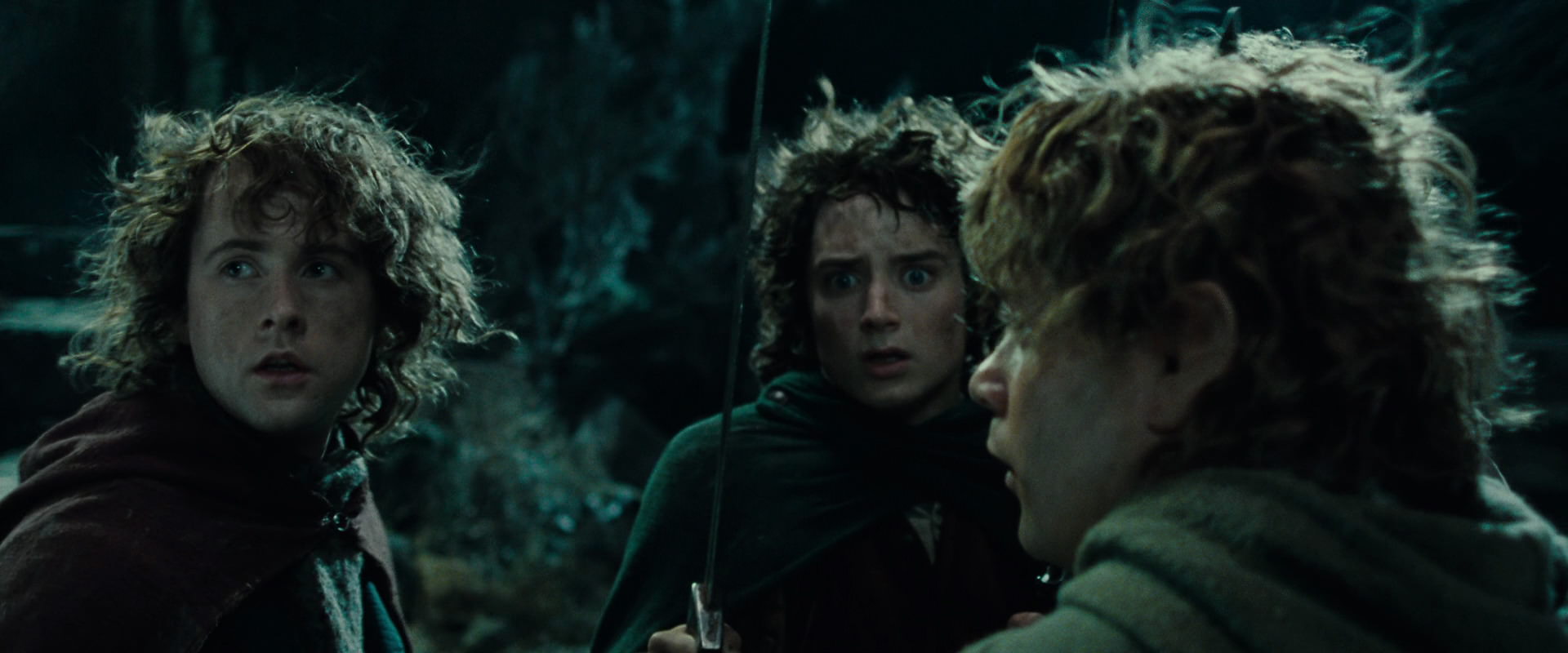 The Lord of the Rings: The Fellowship of the Ring (2001) HD screenshot 8429