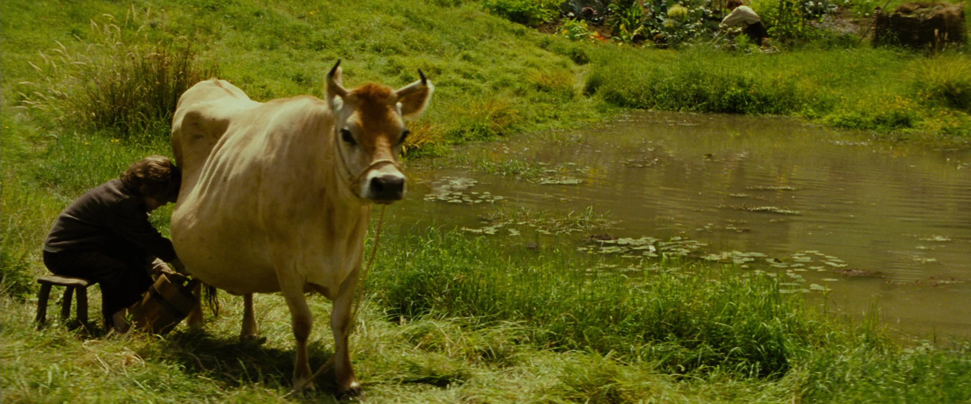 The Lord of the Rings: The Fellowship of the Ring (2001) screencap 843