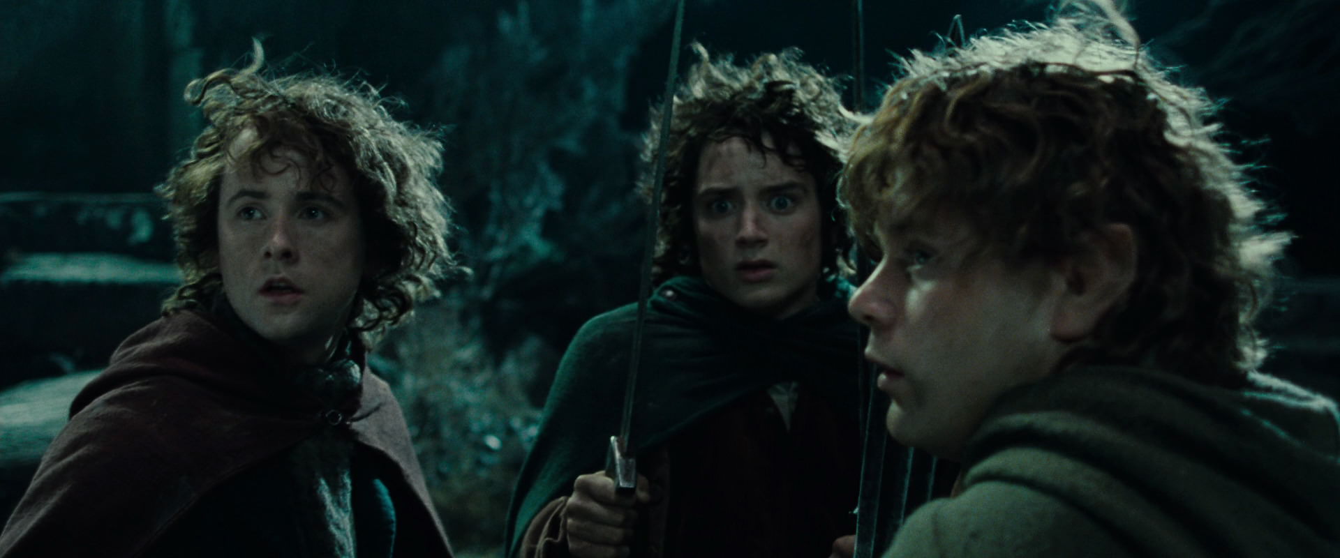 The Lord of the Rings: The Fellowship of the Ring (2001) screencap 8430