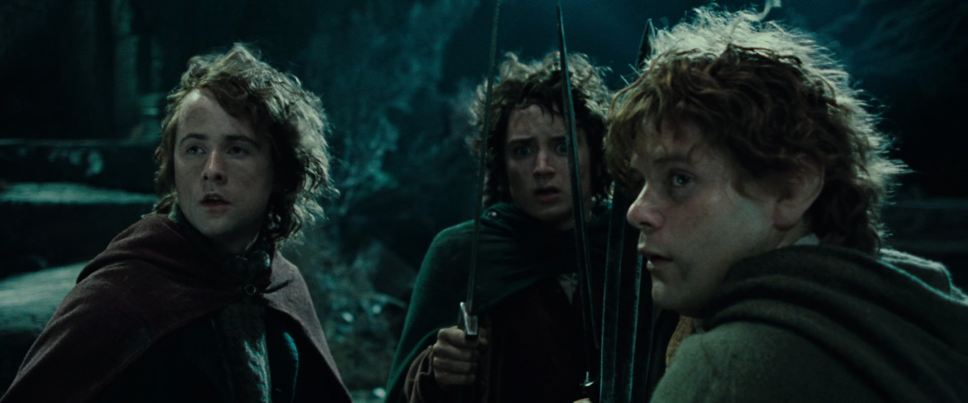 The Lord of the Rings: The Fellowship of the Ring (2001) movie still 8431